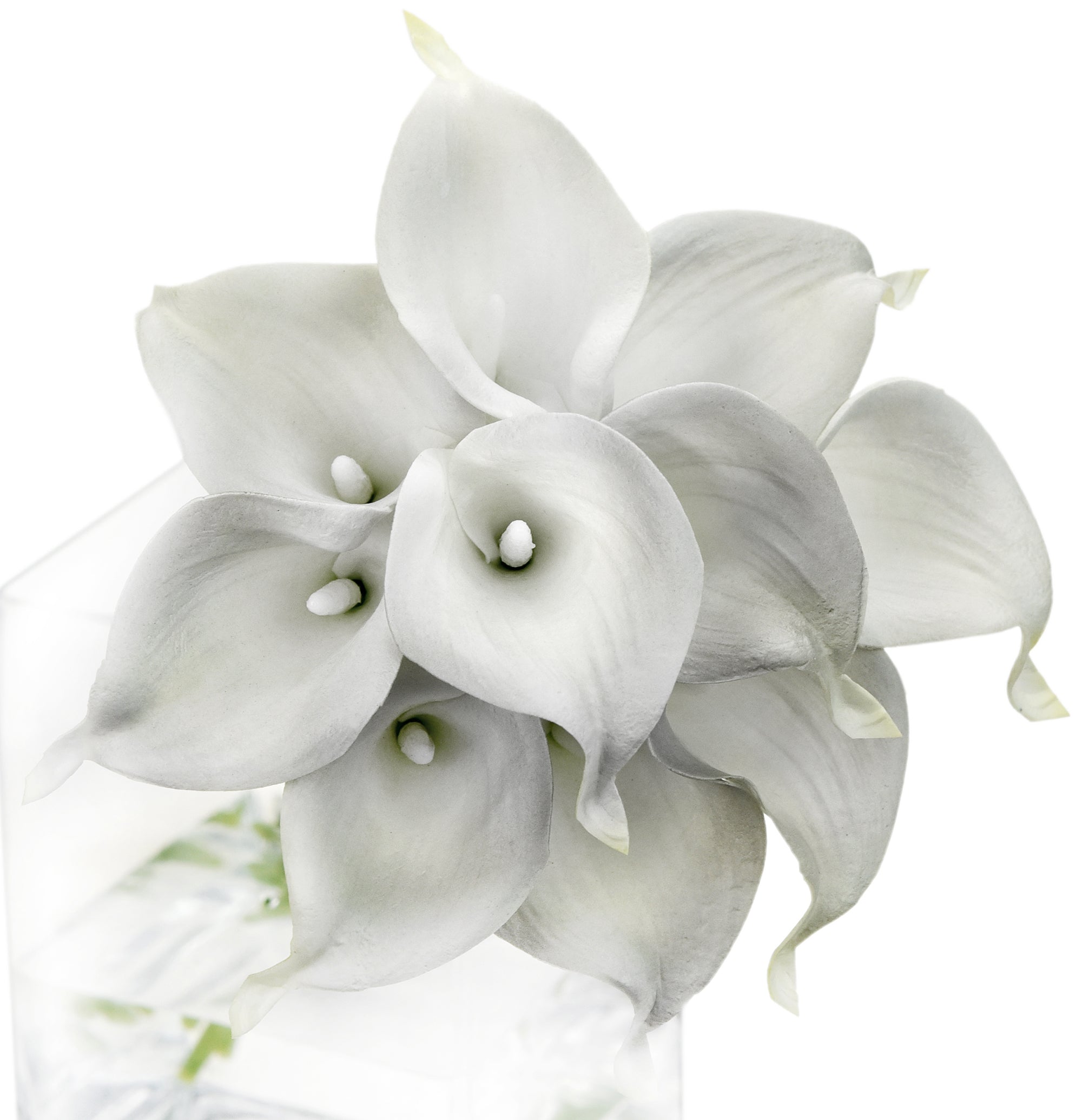 Plage calla lily ビスチェgray 新品 34
